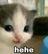 1648209740802.png 1648209740802.png