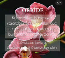 20220509_131726.png