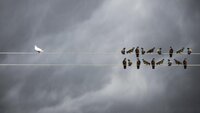 FE182639-87B2-4019-84D1-7DB948EECF7C.jpeg