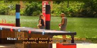 images (42).jpeg images (42).jpeg