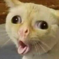 DEEFE8C6-78F2-4355-88DE-BFF50BD1E363.jpeg