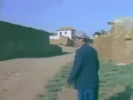 vVzM3x.gif