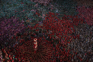 1665164451573.png 1665164451573.png