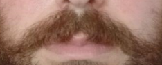 1667155005092.png 1667155005092.png
