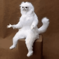 a.gif
