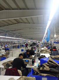 IMG_20221125_113208.jpg