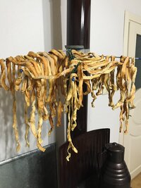 IMG_5945.jpeg