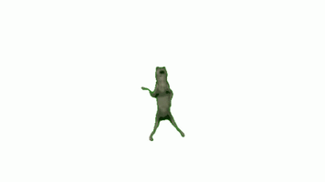 1.gif 1.gif