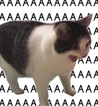 1670753961161.png 1670753961161.png