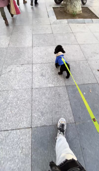 F078D0D4-56C4-437B-A32E-48956644C96B.jpeg