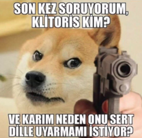 20230227_164627.png 20230227_164627.png