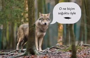 1678006639283.png