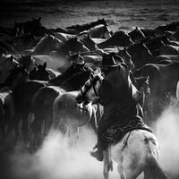 E1E9B019-A6D5-4972-9027-2C5769636EA0.jpeg