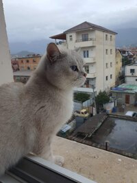 IMG_20230117_164716_392.jpg
