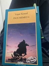 IMG_6850.jpeg
