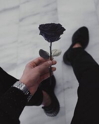 b9523c2138c4a3f6873e2f721c42528d.jpg