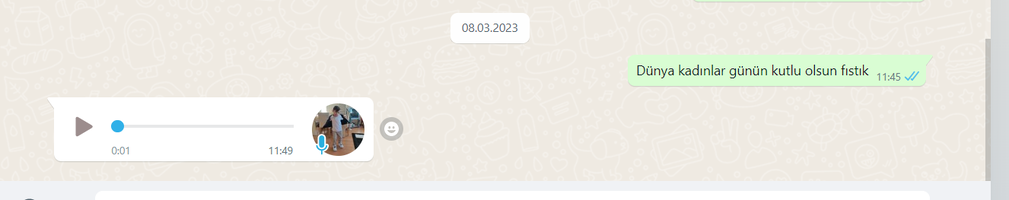 1681825207613.png