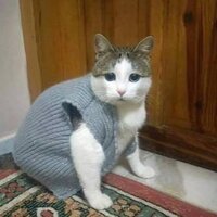 E7EB8E56-16FC-4306-8600-F84CD5BC0DDA.jpeg E7EB8E56-16FC-4306-8600-F84CD5BC0DDA.jpeg