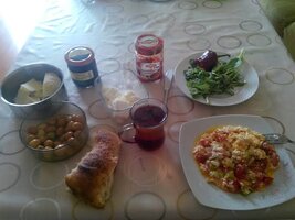 images (14).jpeg