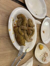 IMG_3136.jpeg IMG_3136.jpeg