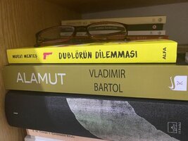 IMG_5287.jpeg