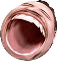 1688830450579.png