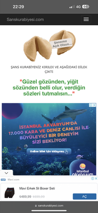 IMG_7253.png