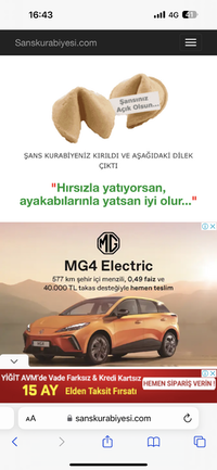 IMG_7271.png