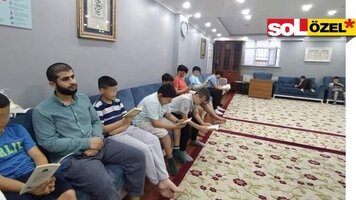 IMG_8995.jpeg