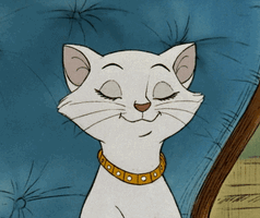 tumblr_a82a61b9cdc2bd0a21b5264293713b4c_f32941af_1280.gif tumblr_a82a61b9cdc2bd0a21b5264293713b4c_f32941af_1280.gif