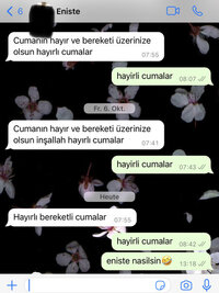 IMG_9550.jpeg IMG_9550.jpeg
