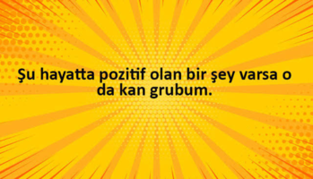 1697472481350.png