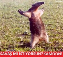 IMG_1476.jpeg