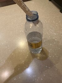 IMG_6836.jpeg