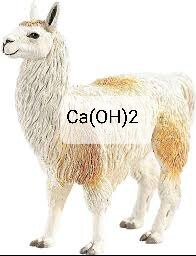 indir.jpeg.jpg indir.jpeg.jpg