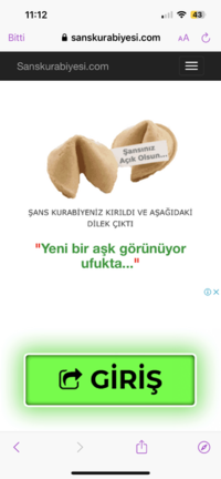 IMG_1087.png