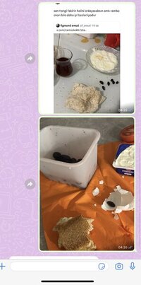IMG_7229.jpeg IMG_7229.jpeg