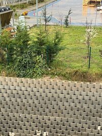 IMG_0254.jpeg