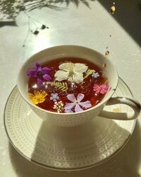 IMG_7330.jpeg IMG_7330.jpeg