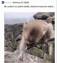 IMG_7678.jpeg