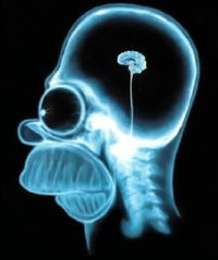 IMG_7969.png IMG_7969.png