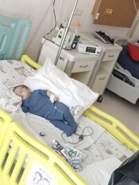 IMG_7987.jpeg IMG_7987.jpeg