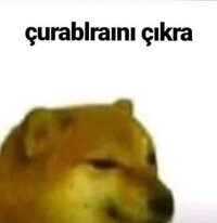 IMG_1866.jpeg IMG_1866.jpeg