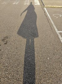 1000047288.jpg