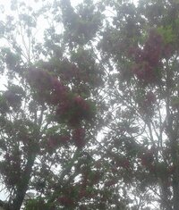 20240429_135711-1.jpg 20240429_135711-1.jpg