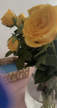 IMG_8859.jpeg