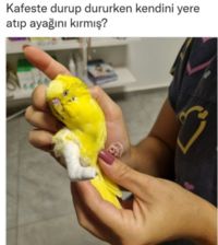 1715092275633.png 1715092275633.png