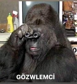 IMG_2777.jpeg