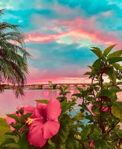 IMG_0770.jpeg