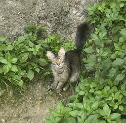 IMG_0995.jpeg